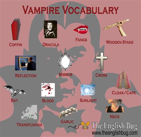 vampire synonym